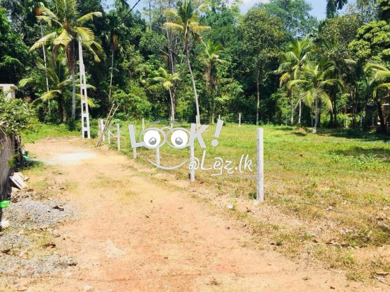 Land for sale