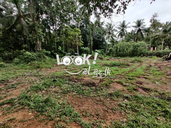 Land for sale