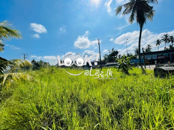 Land for sale