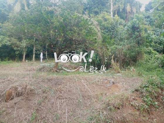 Land for sale