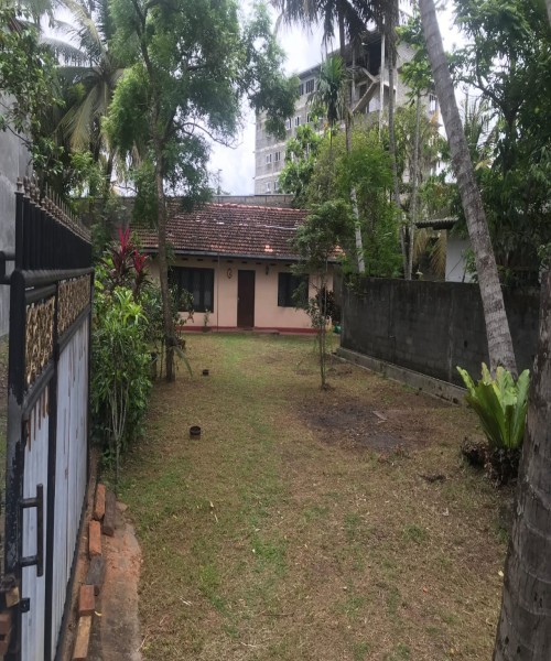 Land for Sale Kelaniya - අගනා බිම් කොටසක් විකිණීමට කැලණිය, දළුග