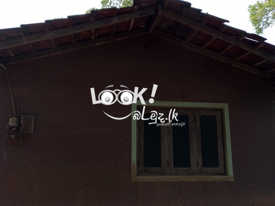 House Rentals 