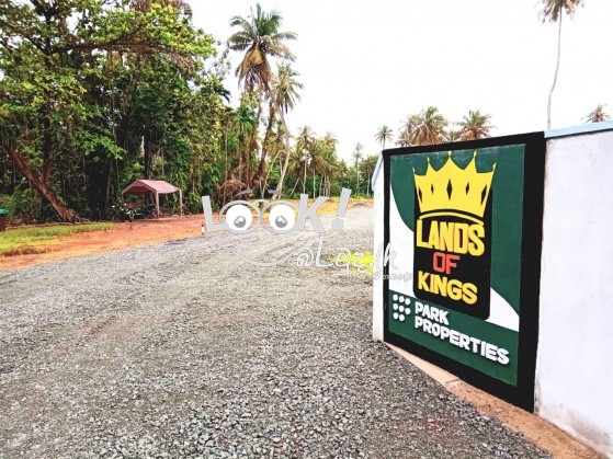 Land For Sale Ja -Ela Pamunugama