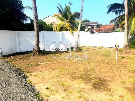 Land For Sale Ja -Ela Pamunugama