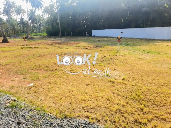 Land For Sale Ja -Ela Pamunugama