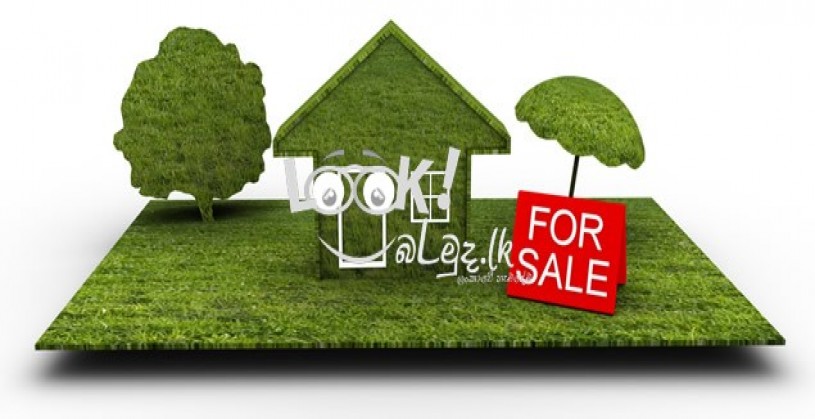 House & Land sale