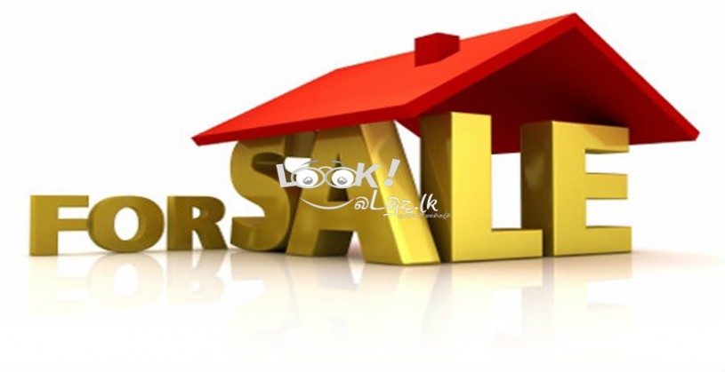 House & Land sale