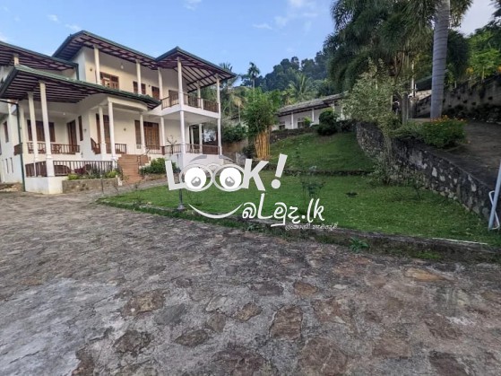 BADULLA HOLYDAY BANGLOW for sale