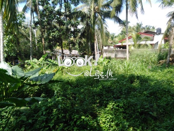 Land for Sale KIRINDIWELA 