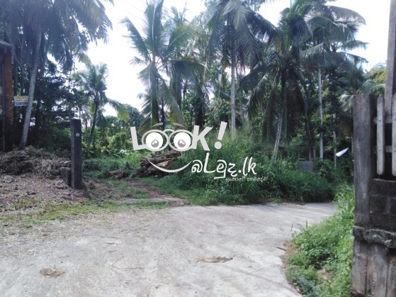 Land for Sale KIRINDIWELA 