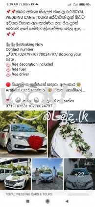 Royal wedding cars & Tours 