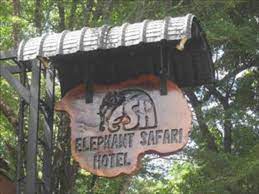 Elephant safari hotel