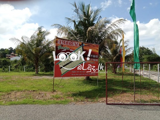 LAND For Sale KANDANA