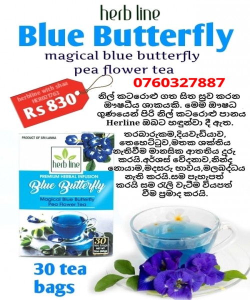 Blue butterfly pea flower tea